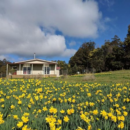 Mountain Blue Guest House Deloraine Exterior foto