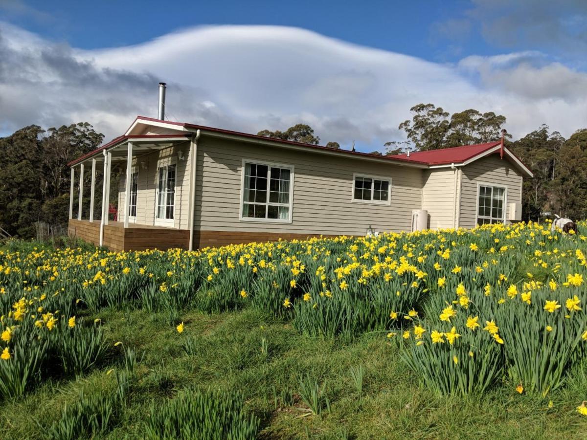 Mountain Blue Guest House Deloraine Exterior foto